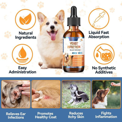 Diare Yeast Infection Drops - 60ml (Bacon Flavoured)