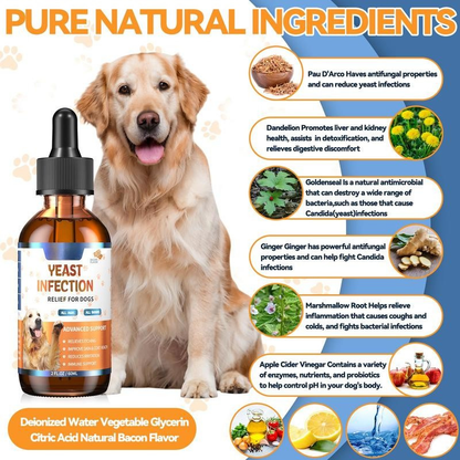 Diare Yeast Infection Drops - 60ml (Bacon Flavoured)