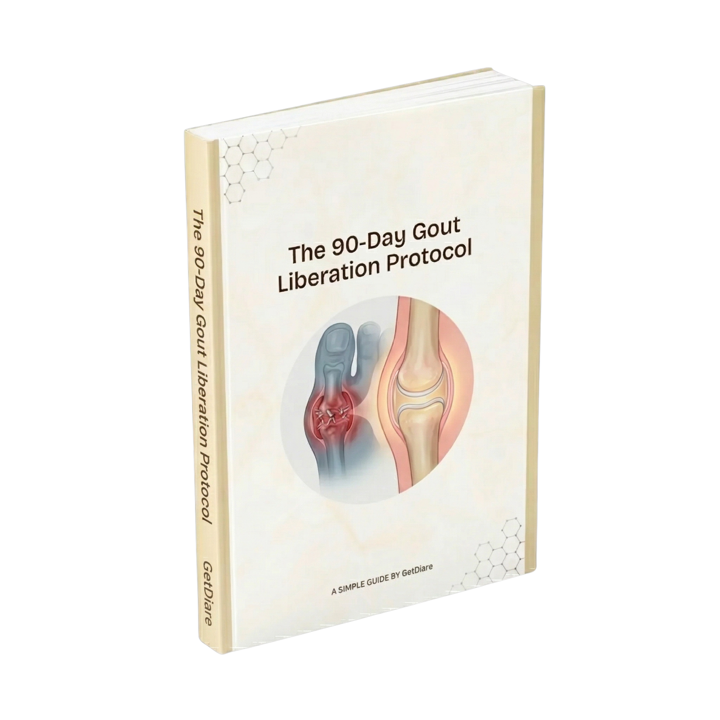 90-Day Gout Liberation Protocol eBook